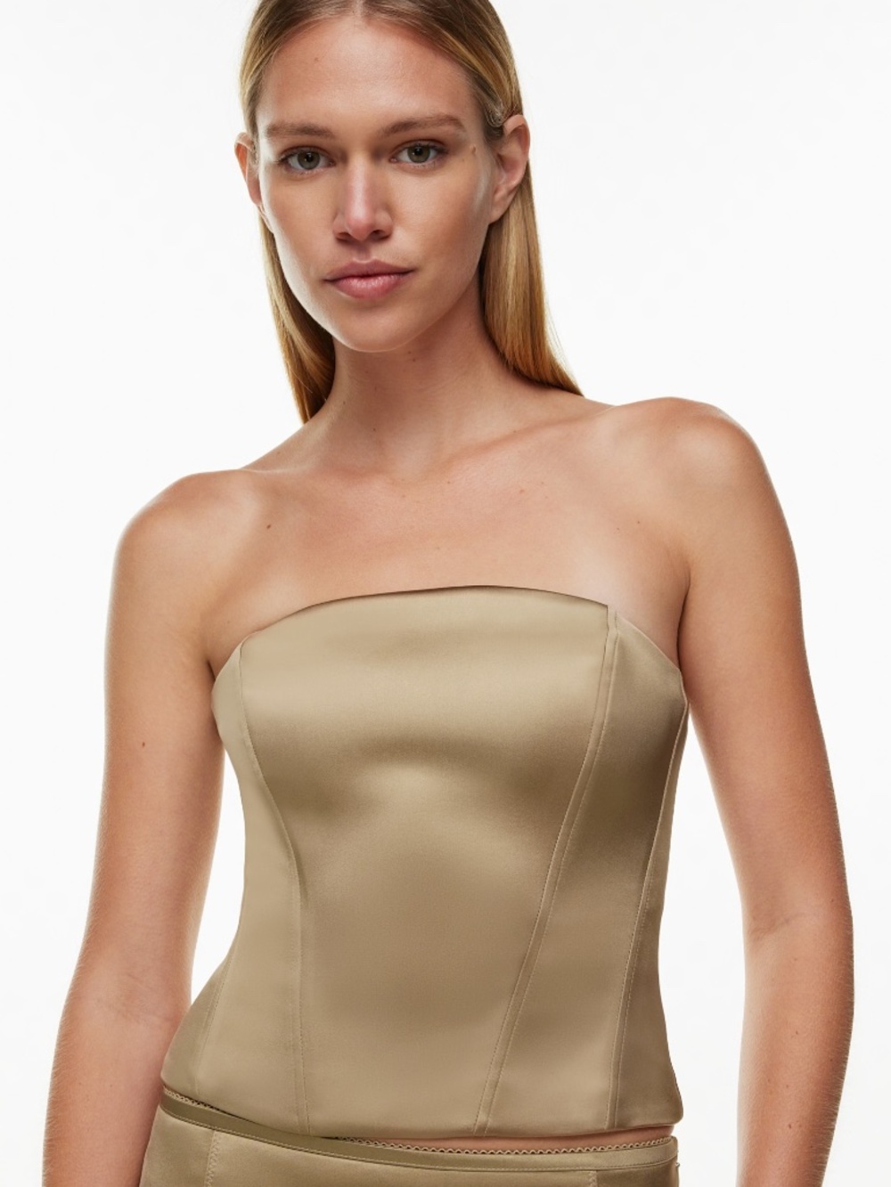 Aritzia Castle Satin Bustier Strapless Satin Corset Top